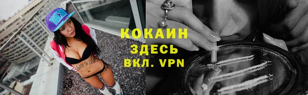 индика Абаза