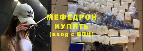 индика Абаза