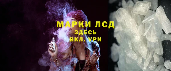 индика Абаза
