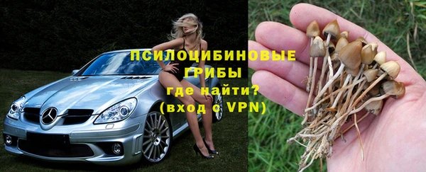 тгк Абдулино