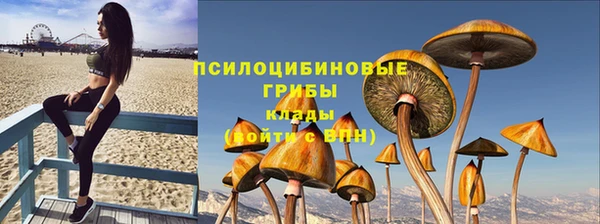 индика Абаза
