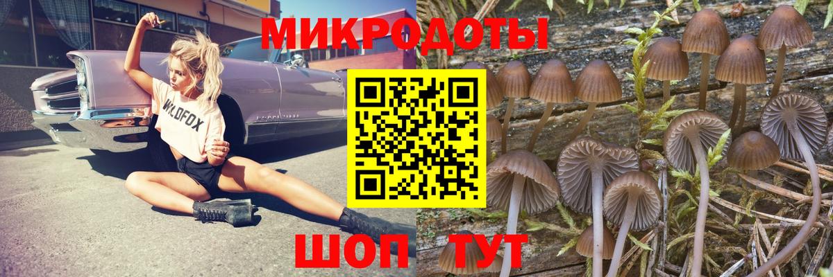 Псилоцибиновые грибы прущие грибы Тутаев